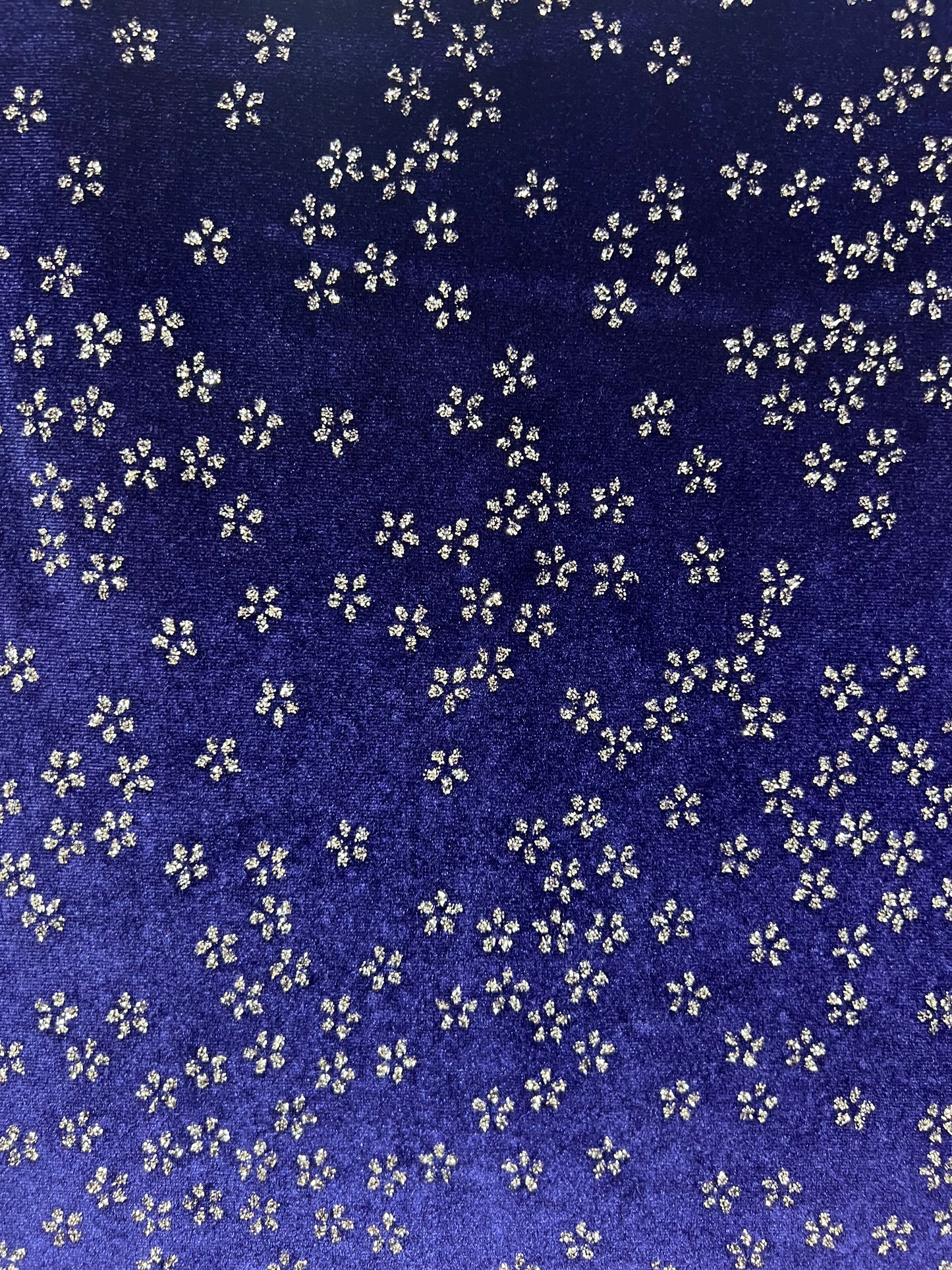 Velvet Daisy