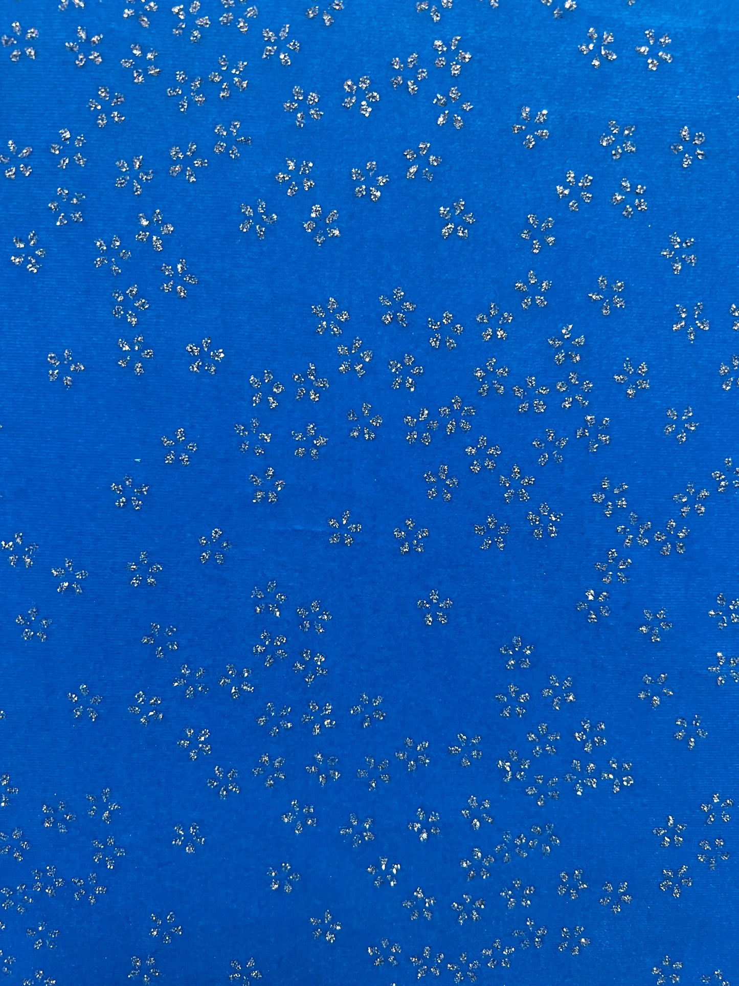 Velvet Daisy