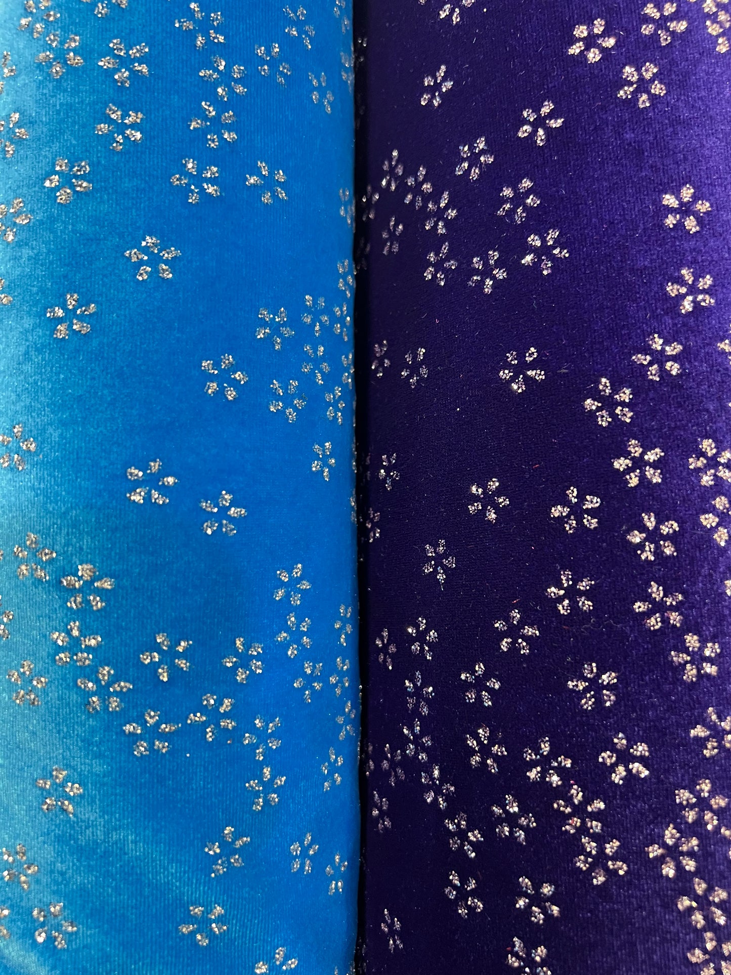 Velvet Daisy