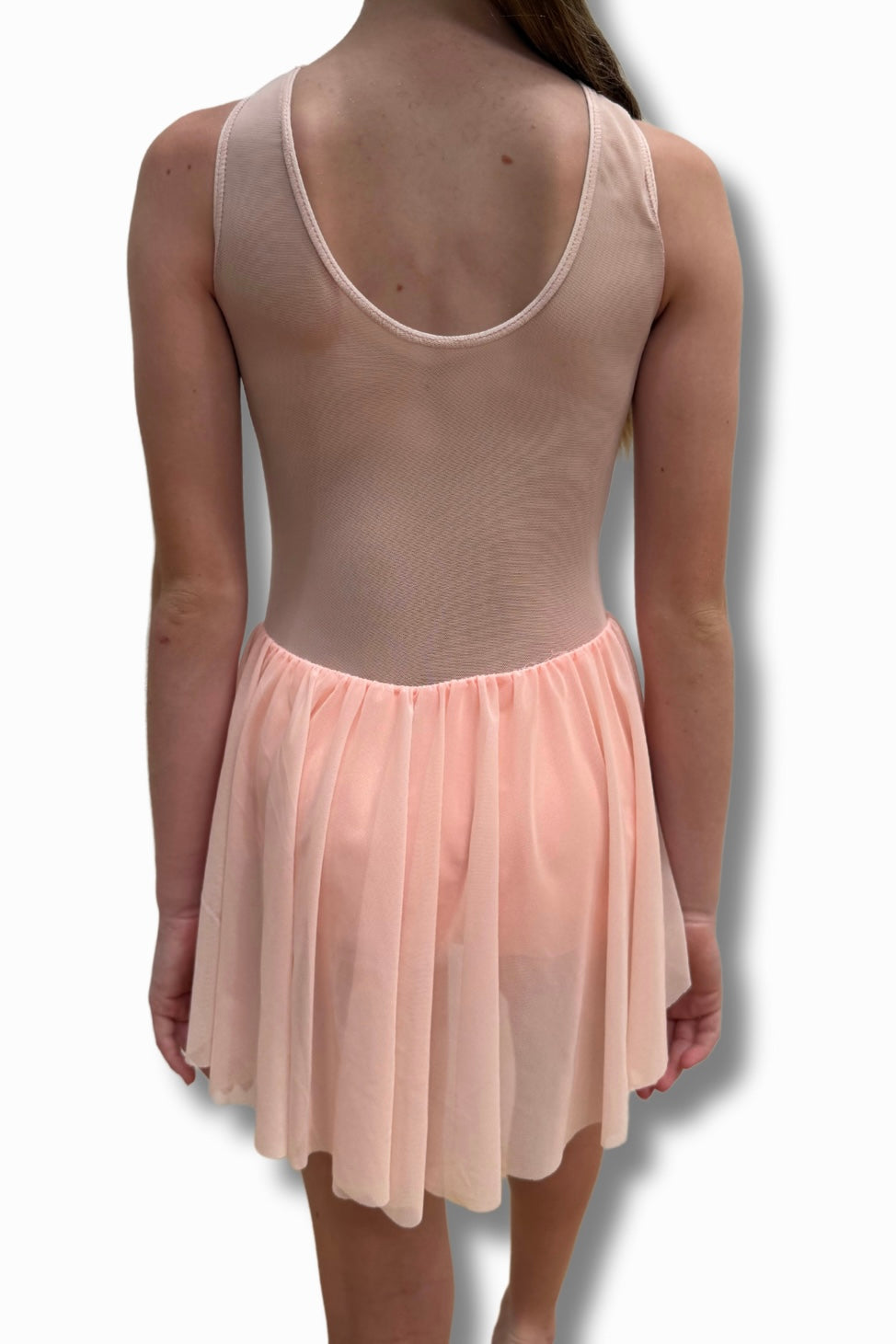 Mesh Leotard with skirt- Troupe