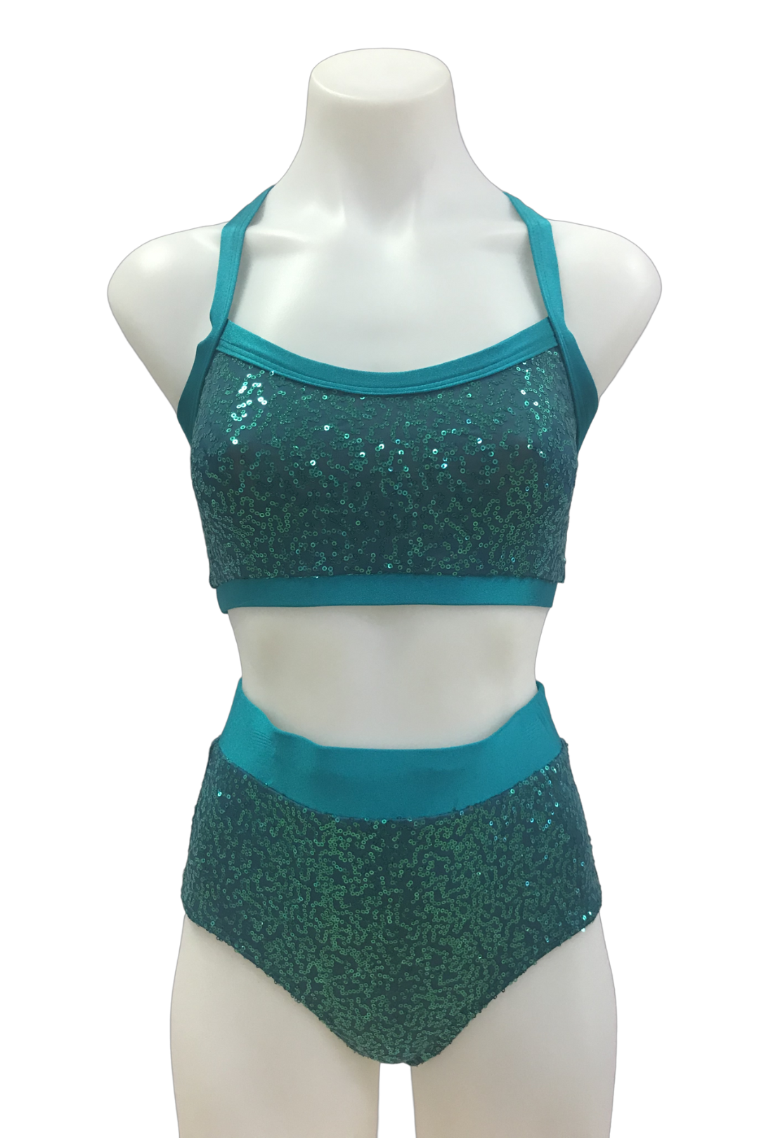 Aurora Crop and High Waisted Knicker-Troupe Costume