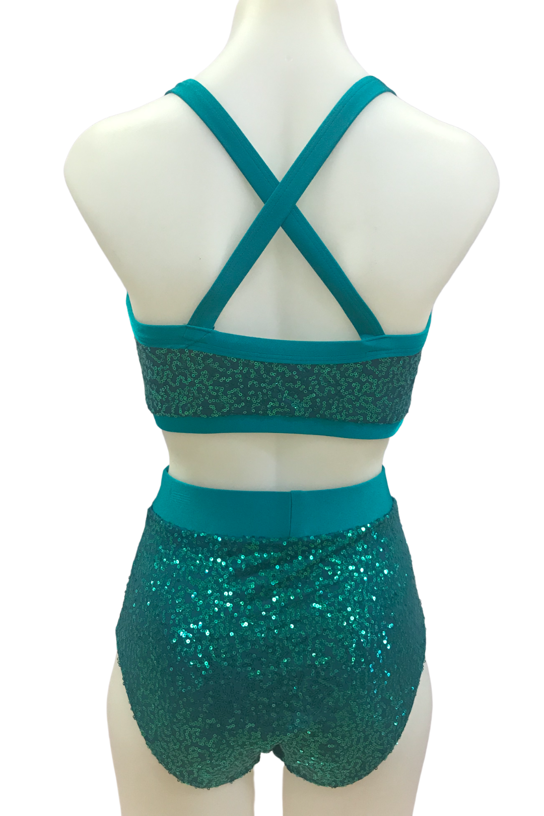 Aurora Crop and High Waisted Knicker-Troupe Costume